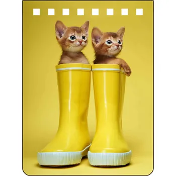 Blok Zápisník 3D - Abyssinians A7