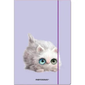 Narcis desky A4 Fun kočička /10/