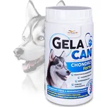 Orling Gelacan Chondro Forte