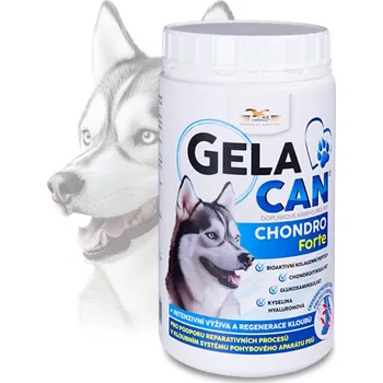 Orling Gelacan Chondro Forte