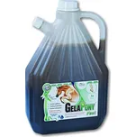 Orling Gelapony Fast Biosol 3 l