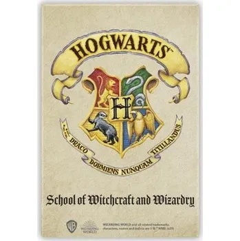 Dekorativní magnet Harry Potter Magnet - Bradavice