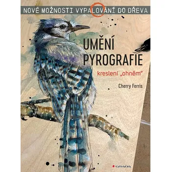 Populárně naučná literatura pro dospělé Umění pyrografie