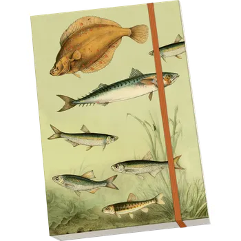 Blok Notýsek Nordic Fishes