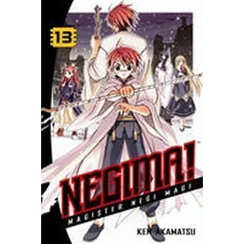 Negima! 13