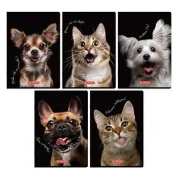 Set školních potřeb Zeszyt A6/32K kratka Crazy Animal MIX (12szt)