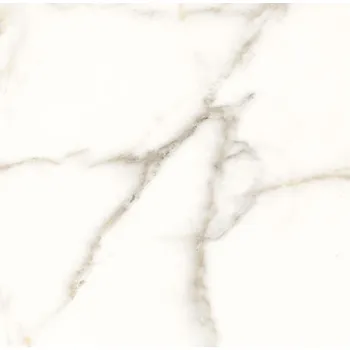 Dlažba Dlažba Trilogy calacatta white lux 60x60 cm