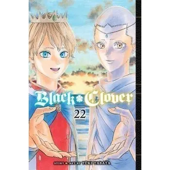 Beletrie pro dospělé Black Clover 22
