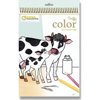 Dětské zboží Omalovánky Avenue Mandarine Graffy Color - Farma