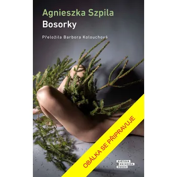 Beletrie pro dospělé Bosorky