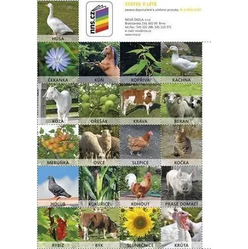 Pexeso Statek v létě (Já můj svět 2)