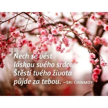 Dekorativní magnet Magnet na lednici - Nech se vést láskou svého srdce. Štěstí tvého života půjde za tebou.