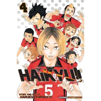Beletrie pro dospělé Haikyu!! 4