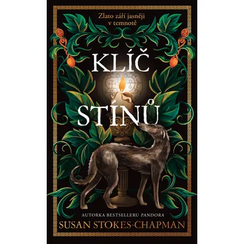 Kniha Klíč stínů