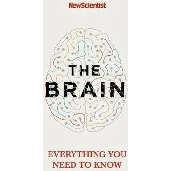 Cizí jazyk The Brain : Everything You Need to Know