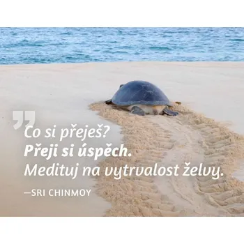 Dekorativní magnet Magnet na lednici - Co si přeješ? Přeji si úspěch. Medituj na vytrvalost želvy.