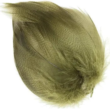 Mallard Barred Feathers Olive
