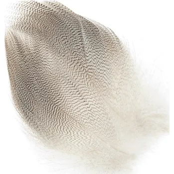 Mallard Barred Feathers Natural