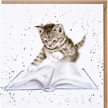 Přání 15 x 15 cm "The Bookworm" Wrendale Designs - kotě čte knihu