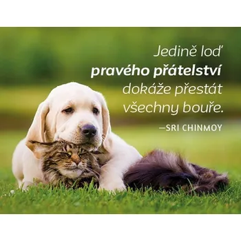 Dekorativní magnet Magnet na lednici - Jedině loď pravého přátelství dokáže přestát všechny bouře.