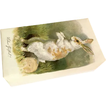 Mýdlo Dárkové mýdlo Spring Animals Bunny 200 g