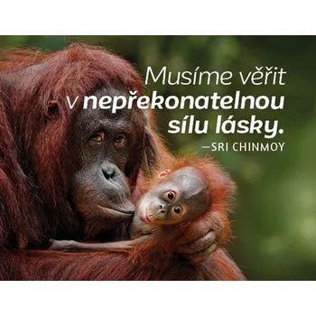 Dekorativní magnet Magnet na lednici - Musíme věřit v nepřekonatelnou sílu lásky.