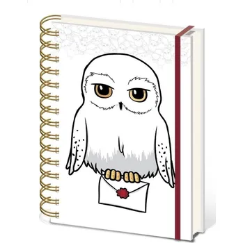 Blok Harry Potter Zápisník kroužkový A5 Special Delivery