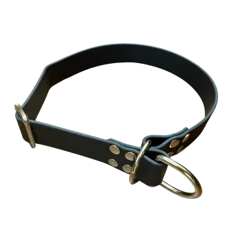 Obojek pro psa Obojek KLASIK stahovací - 25mm šíře Barva: Černá, Velikost: S, Barva spony: Stříbrná