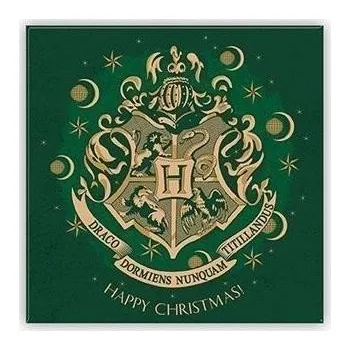 Dekorativní magnet Harry Potter Magnet - Bradavice (zelený)