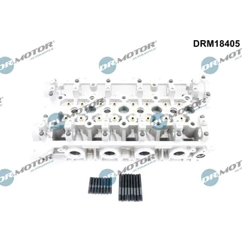 Motor automobilu Hlava válce Dr.Motor Automotive DRM18405