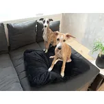 Měkký polštář pro psa/kočku ROYAL PET 75x60 cm, černý