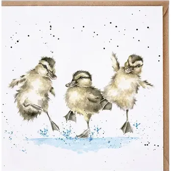 Přání 15 x 15 cm "Puddle Ducks " Wrendale Designs - káčátka