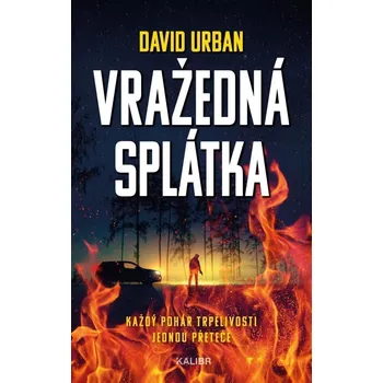 Beletrie pro dospělé Vražedná splátka