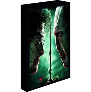 Harry Potter obraz LED svítící 30x40 cm - Harry vs Voldemort