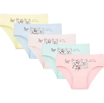 Dámské spodní prádlo DONELLA Dívčí kalhotky Donella 5 ks – 4171PB181 s milým dívčím motivem | Bavlněné - 134/140