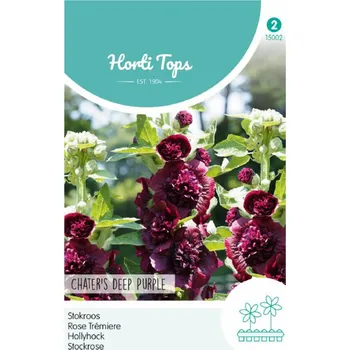Semeno Semena - Topolovka růžová (slézová růže) ´CHARTER´S DEEP PURPLE´