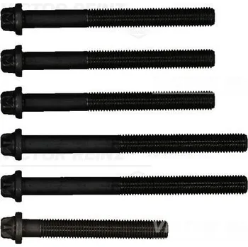 Spojovací materiál motoru Sada šroubů hlavy válce VICTOR REINZ 14-32064-02