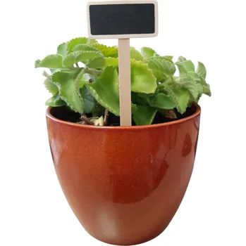 Sadbovač 32 00992 - Etiketa zahradnícka zapichovací, tabulka 60 x 30 mm, výška: 150 mm, Materiál: dřevo, Balení - 20 ks