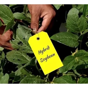 Sadbovač 32 00997 - Etiketa zahradnická voděodolná přepravná, 60 x 120 mm, Barva: žlutá, Materiál: plast, balení - 50 ks