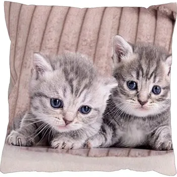 Povlečení 4sleep Povlak na polštář 40 × 40 cm, na zip velur - Koťátka