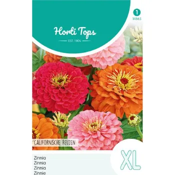 Semeno Semena - OSTÁLKA ´GIANT OF CALIFORNIA´ mix