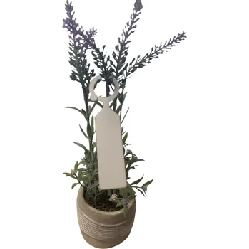 Sadbovač 32 00999 - Zahradnické odolné barevné plastové štítky na rostlinky, šířka: 23 mm, výška: 110 mm, barva: bílá, balení - 50 ks