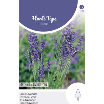 Semeno Semena - LEVANDULE ÚZKOLISTÁ