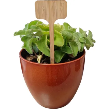 Sadbovač 32 00993 - Etiketa zahradnícka zapichovací, tabulka 60 x 30 mm, výška: 180 mm, Materiál: bambus