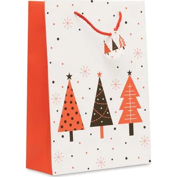 Dárková taška Dárková papírová taška velká - CX1563-06