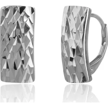 Oblečení a móda Stříbrné náušnice