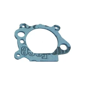 Těsnění vzduchového filtru pro BS OEM - 795629