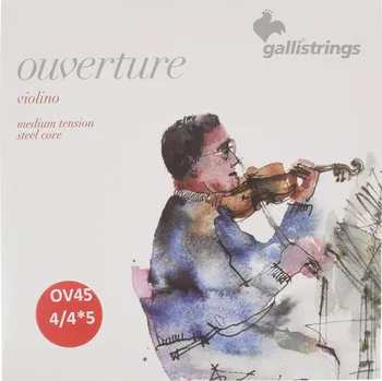 Příslušenství pro strunný nástroj Galli OV45 Overture Vln STC 4/4 - 5 str + prodloužená záruka 3 roky