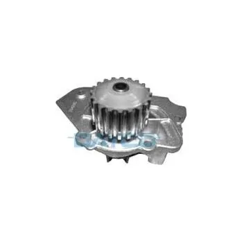 Motor automobilu Vodní čerpadlo, chlazení motoru DAYCO DP005