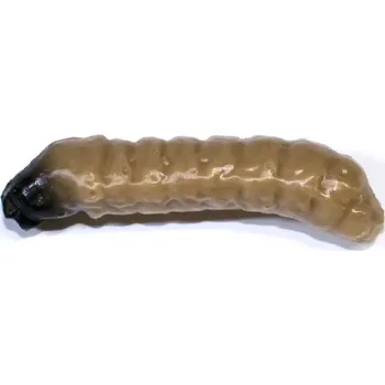 Umělá nástraha Revol Baits nástraha Caddis Larva 30mm příchuť krevetka, barva tmavě béžová 10ks